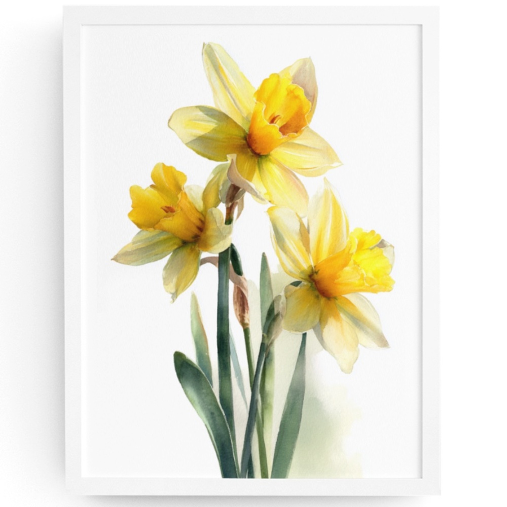Watercolor Daffodils Flowers Wall Art Illustration Print Poster Unframed